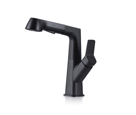 Bathroom Sink Faucet with Pull-Out Spray (Matte Black)